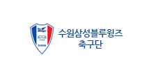 수원삼성블루윙즈 축구단