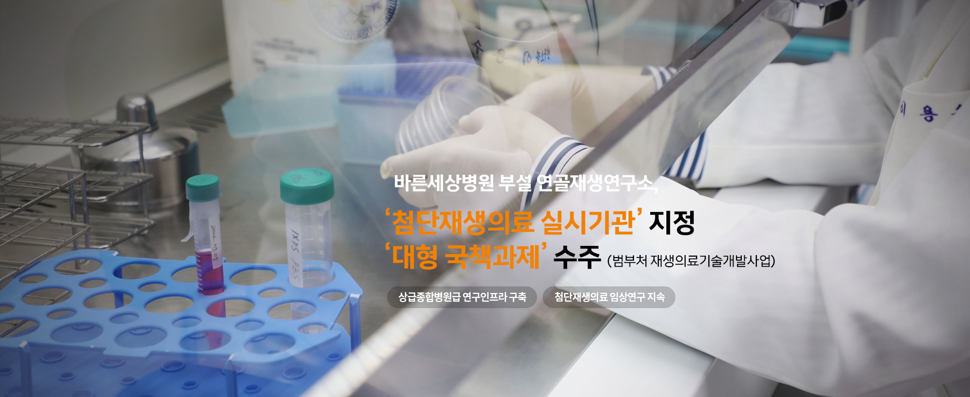 연골재생연구소